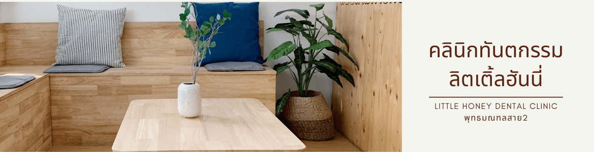 slide company profile