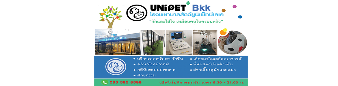 slide company profile