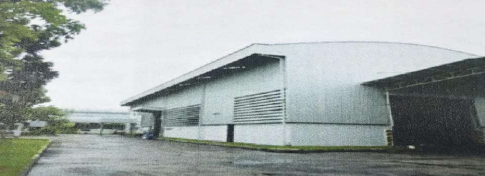 slide company profile