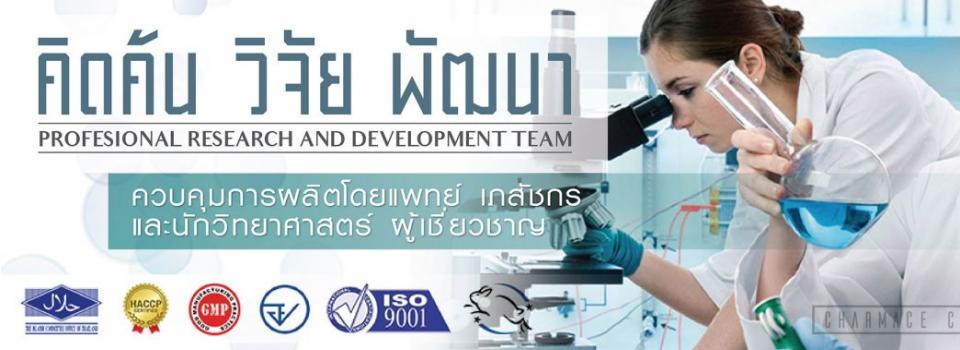 slide company profile