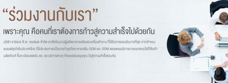 slide company profile
