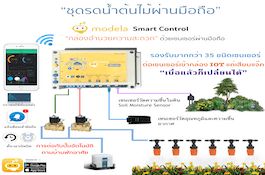 product-2