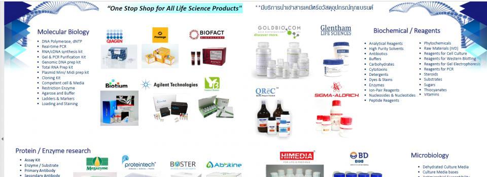 slide company profile