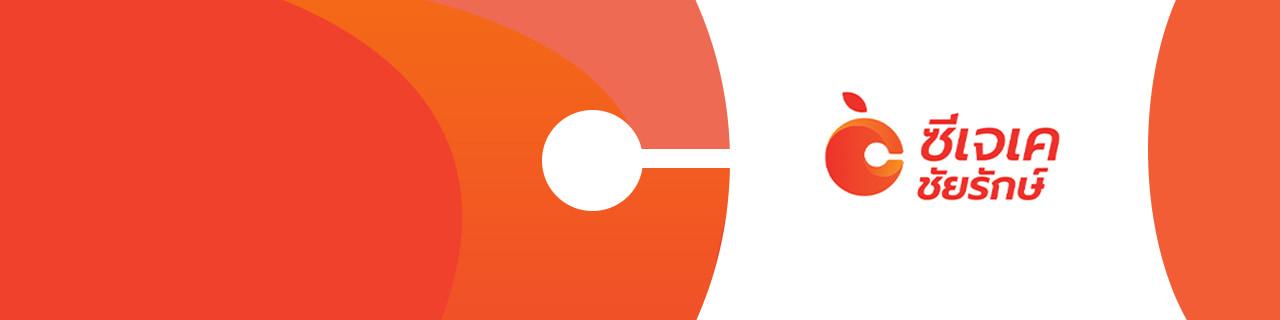 slide company profile