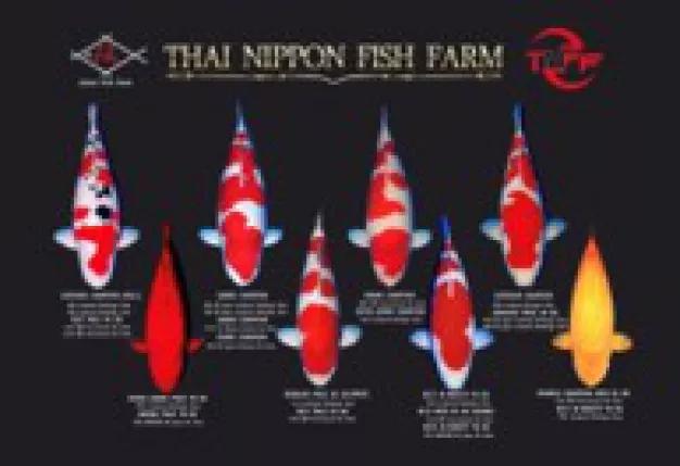 บริษัท ไทยนิปปอน ฟิซ ฟาร์ม จำกัด