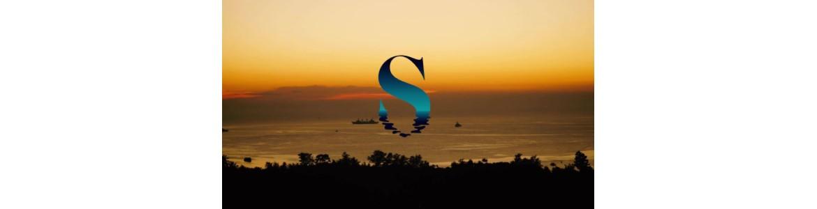 slide company profile