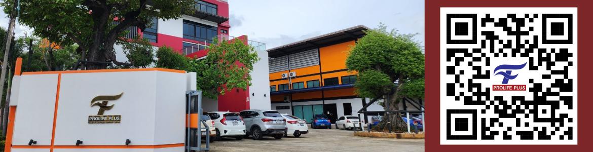 slide company profile