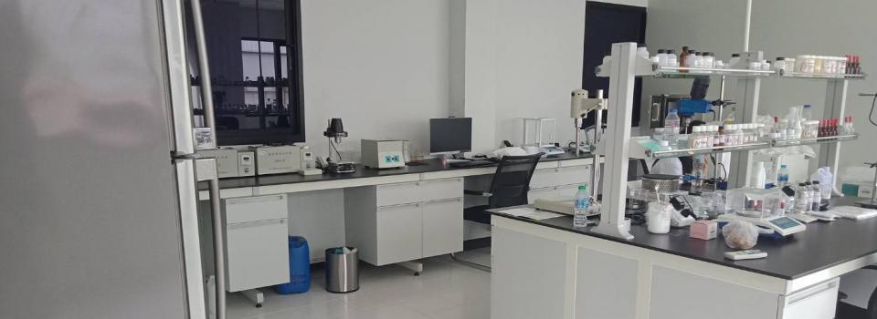 slide company profile