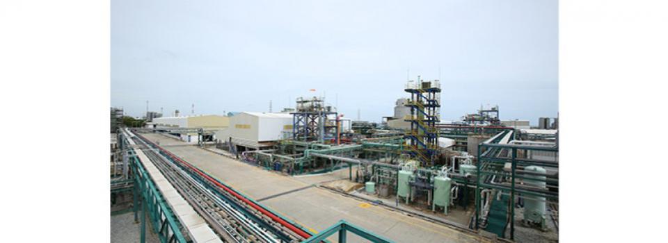 slide company profile