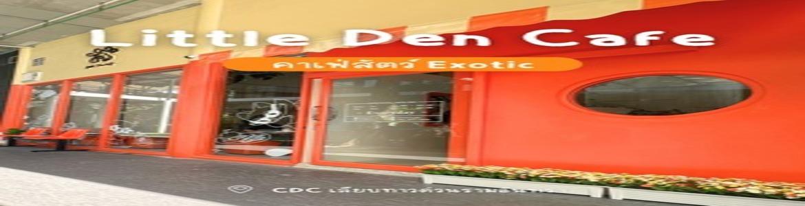 slide company profile