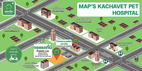 company location map image