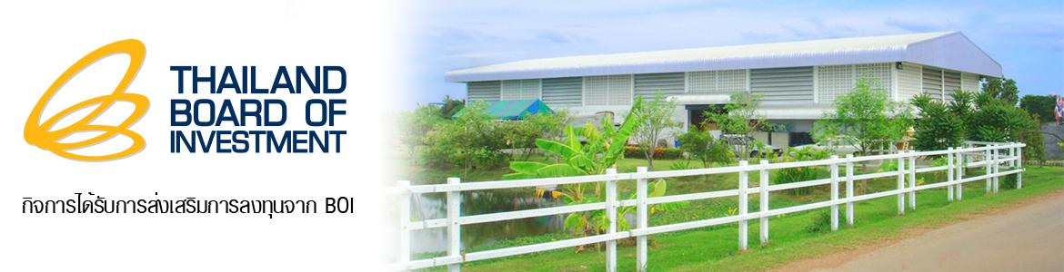 slide company profile