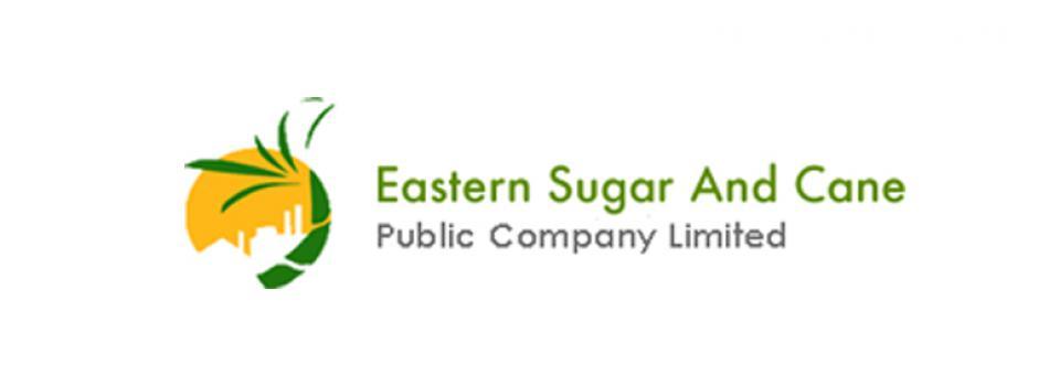 slide company profile