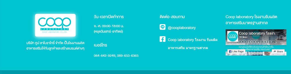 slide company profile