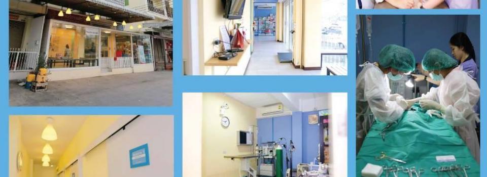 slide company profile
