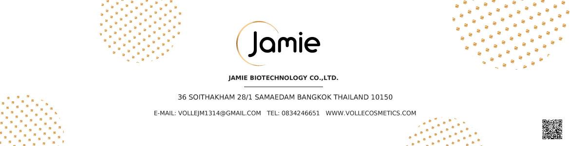 slide company profile