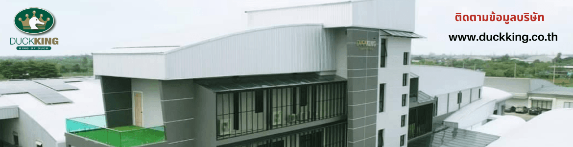slide company profile