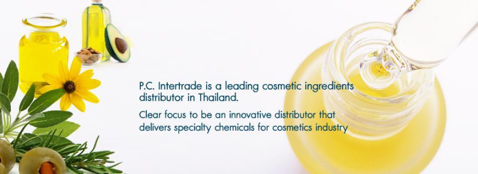 slide company profile