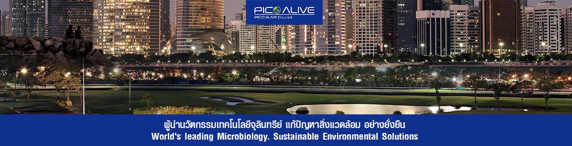 slide company profile