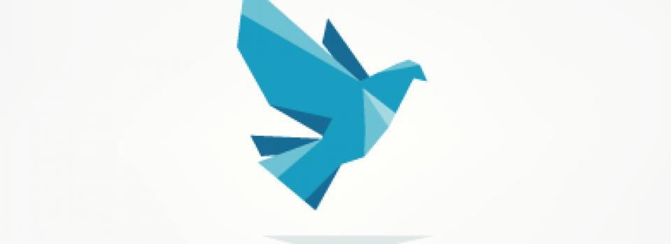 slide company profile