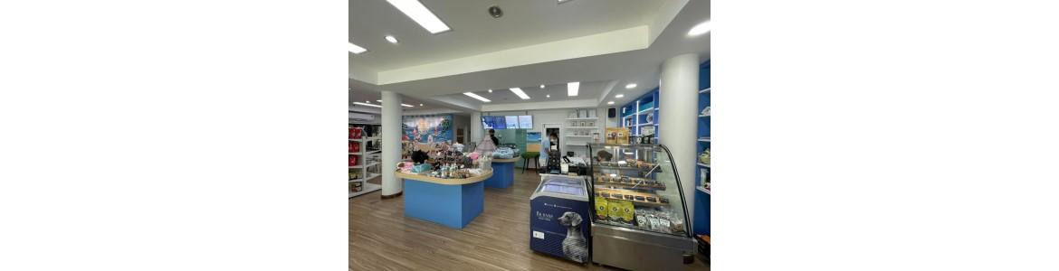 slide company profile