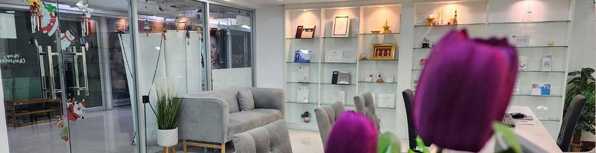 slide company profile