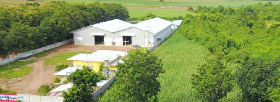 slide company profile