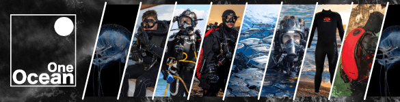 slide company profile