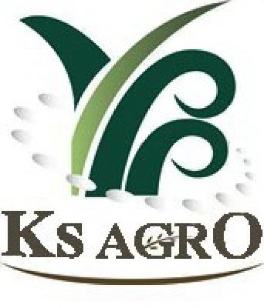 company-image