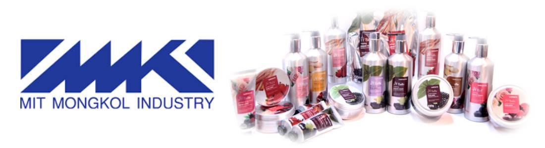slide company profile