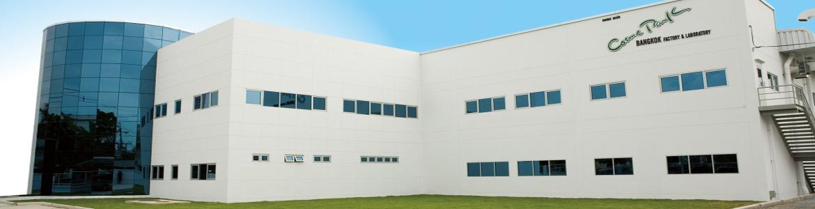 slide company profile
