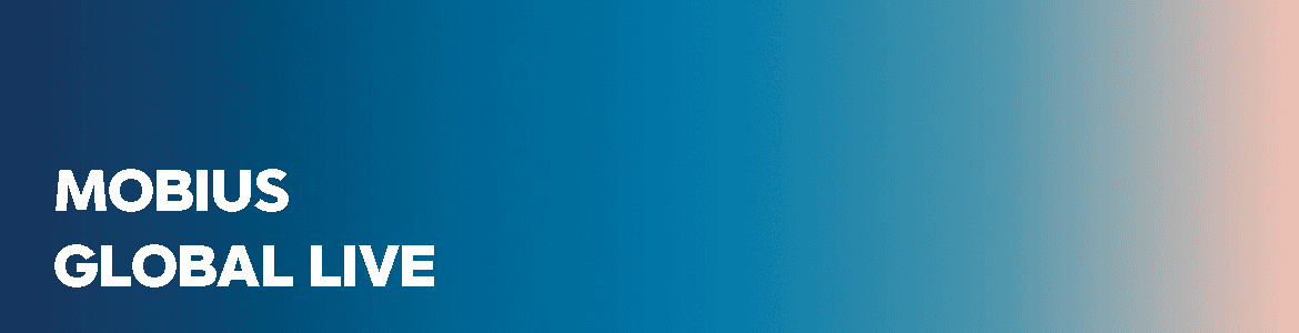 slide company profile