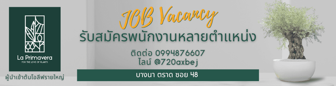 slide company profile