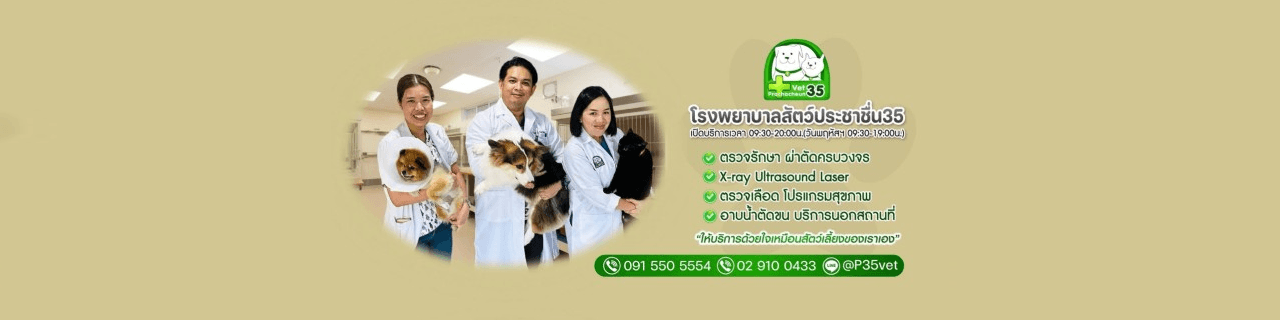 slide company profile