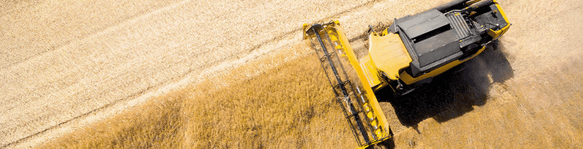 slide company profile