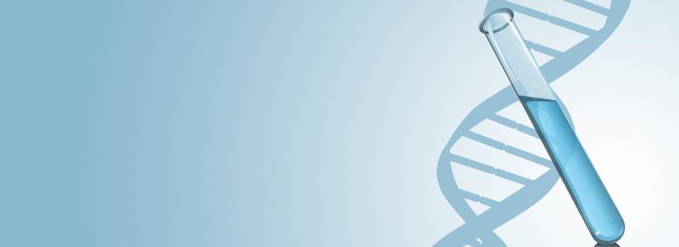 slide company profile