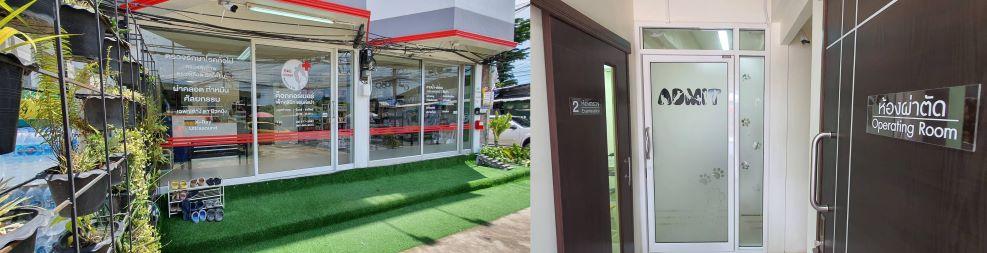 slide company profile
