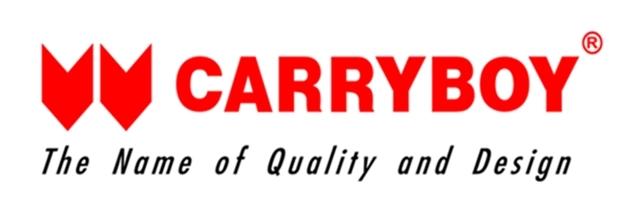 company-image