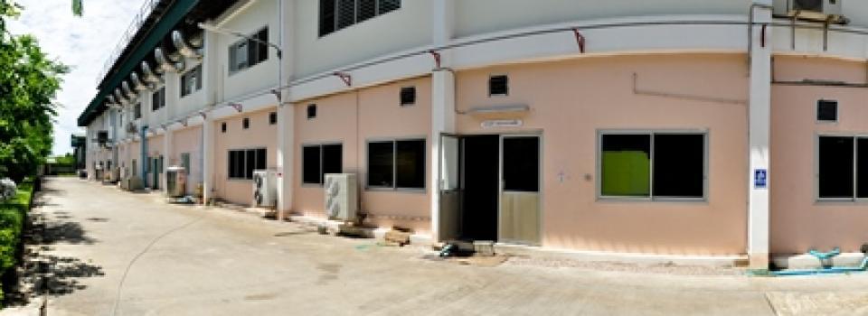 slide company profile