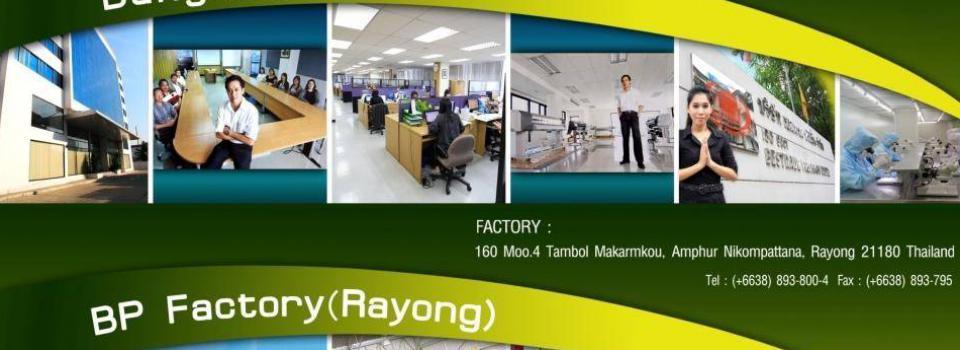 slide company profile