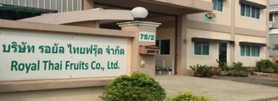 slide company profile