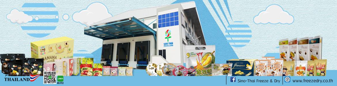 slide company profile