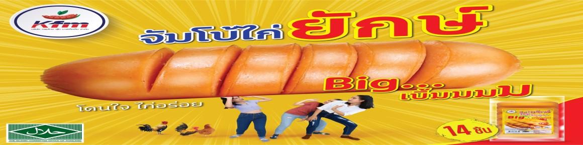 slide company profile