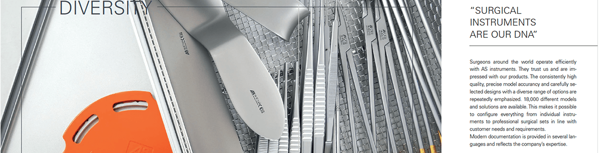 slide company profile
