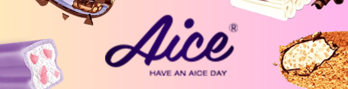 slide company profile