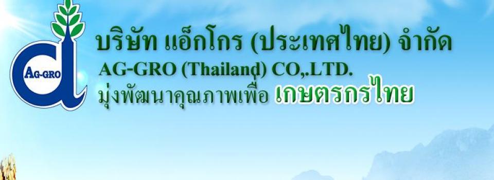 slide company profile