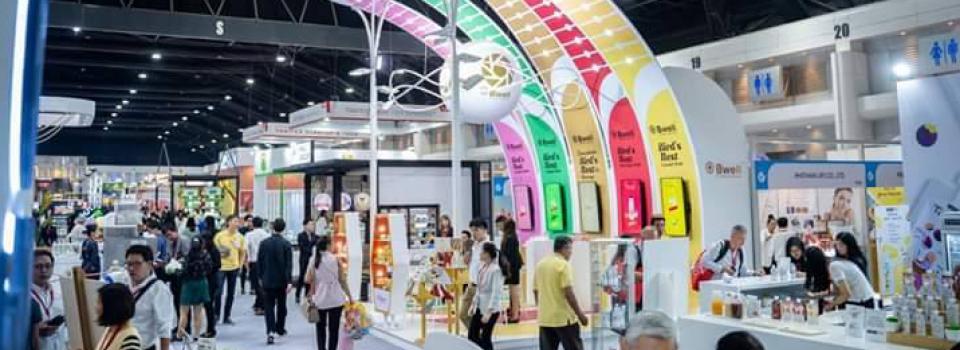 slide company profile