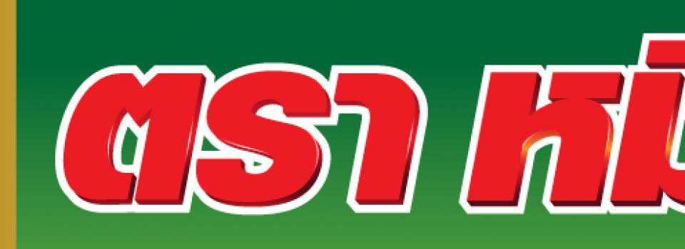 slide company profile