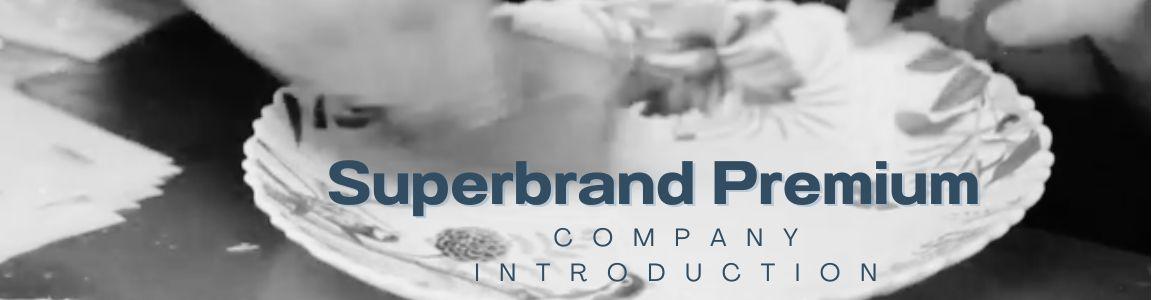 slide company profile