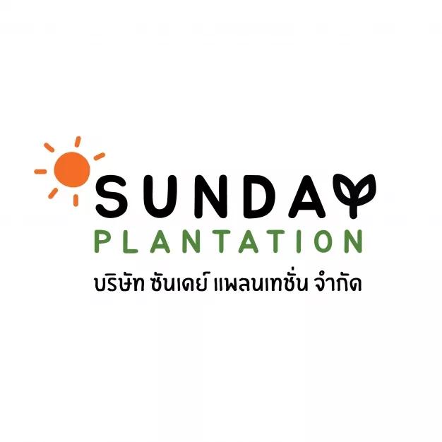 Sunday Plantation
